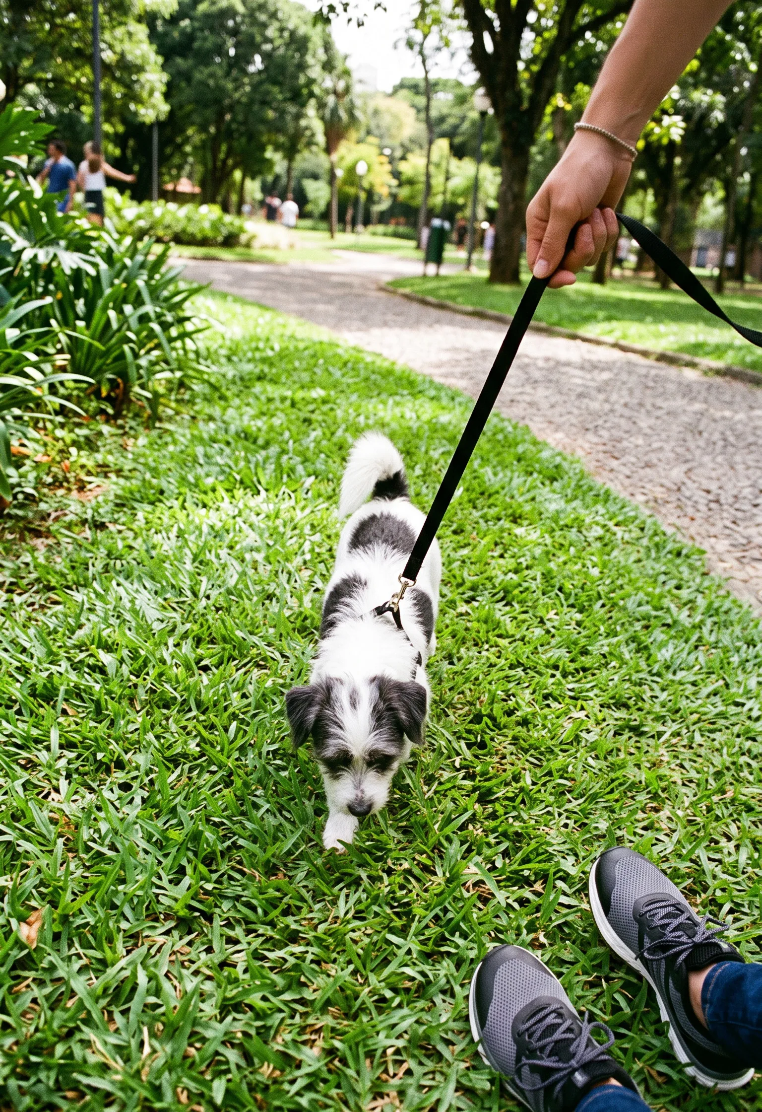 Foto de Thor enviada por Bart Leuschke
